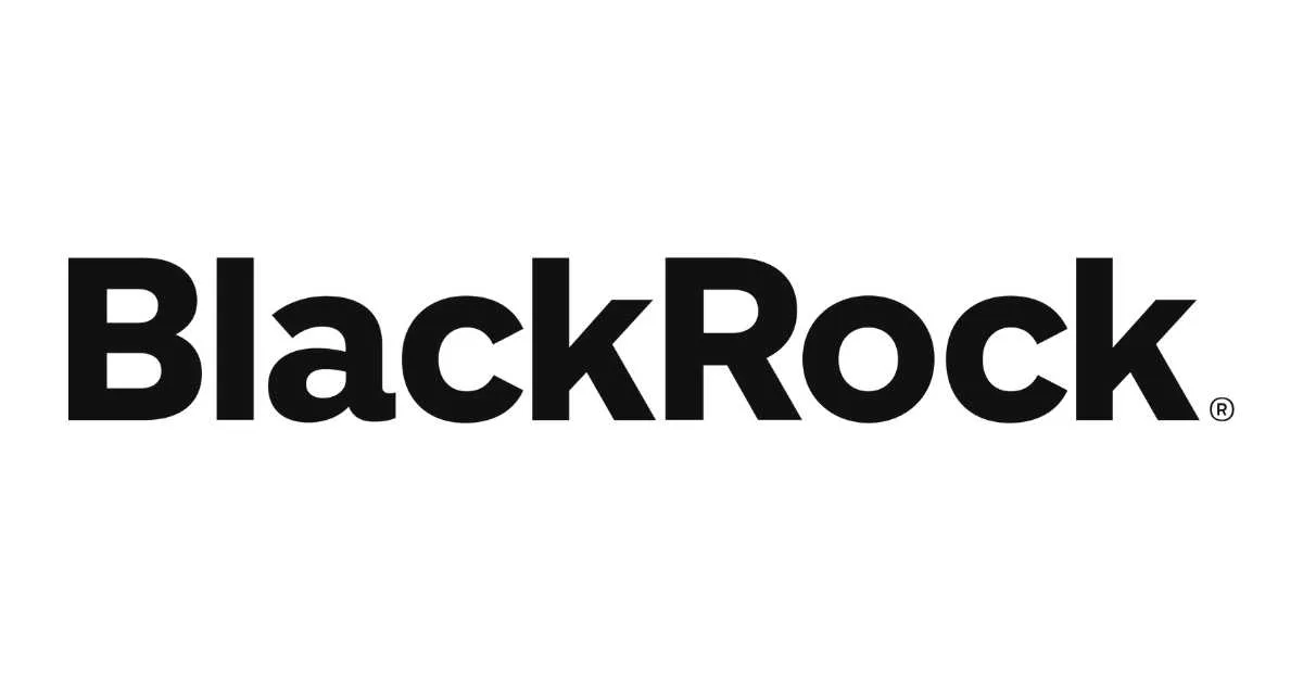 BlackRock company logo in black text.