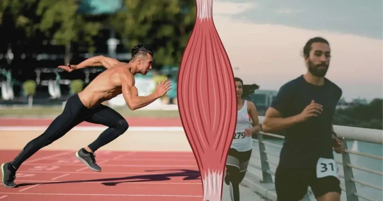 Split image of a sprinter and a marathon runner symbolizing fast-twitch and slow-twitch muscle fibers