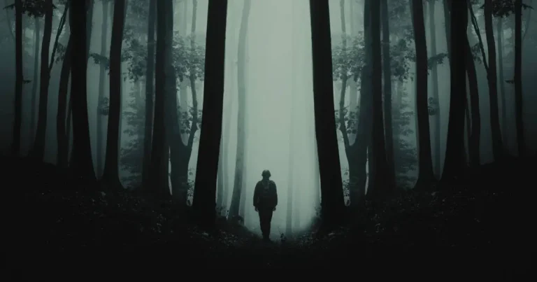 Silhouette of a person standing alone in a dark, foggy forest, symbolizing isolation and challenges.