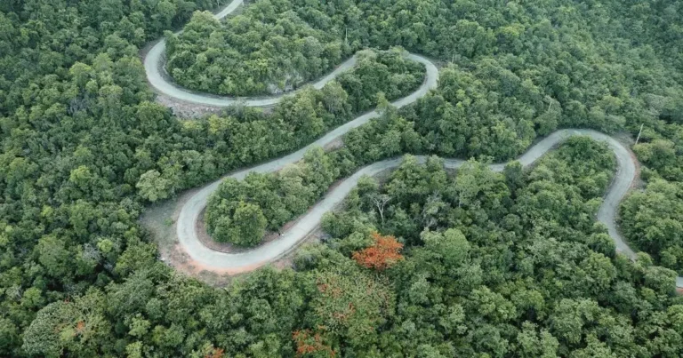 Aerial view of a winding road through dense forest, representing the long and thoughtful journey.