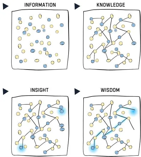 CFA coaching process diagram showing the journey from information to insight and wisdom, highlighting knowledge connections for passing CFA exams. Mobile responsive